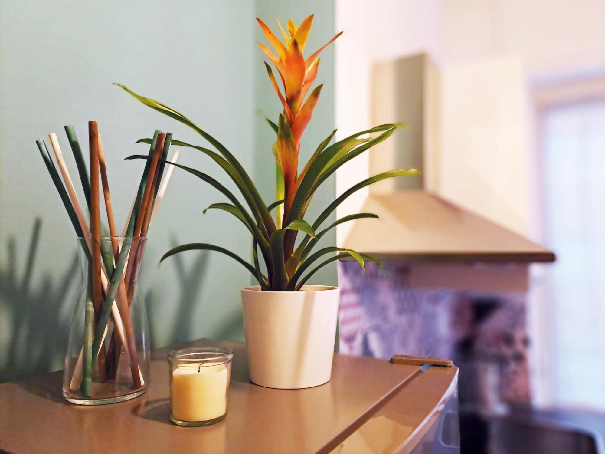 Jaky Maison Torino, Cozy & Modern Stay With Wi-Fi, Kitchen & Balcony Exterior foto